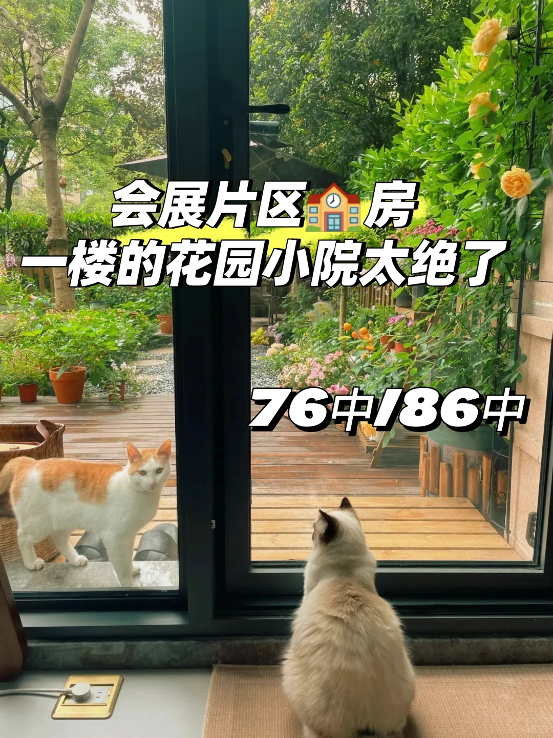 会展片区?房|一楼的花园小院太绝了！