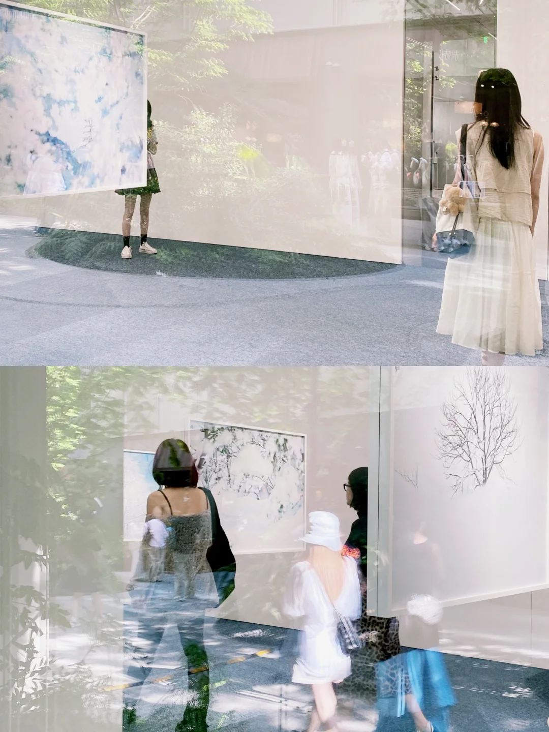 0元看展-上生新所·一面是樱花一面是雪花