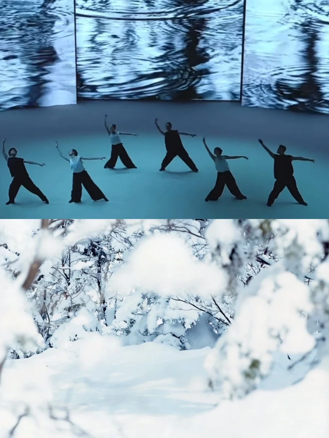 0元看展-上生新所·一面是樱花一面是雪花