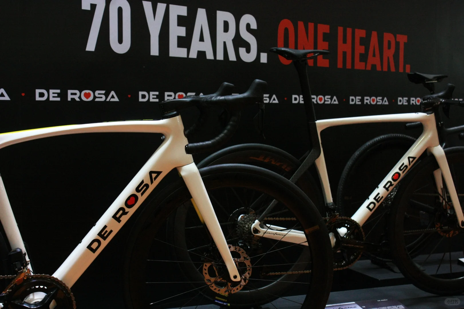 2025自行车博览会的小收藏