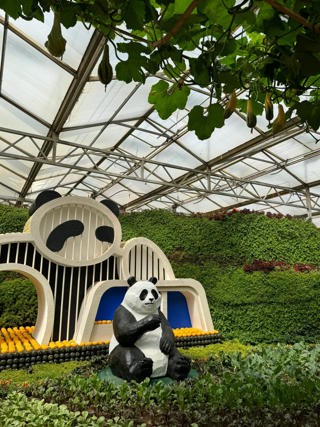 第25届寿光蔬菜博览会导览图