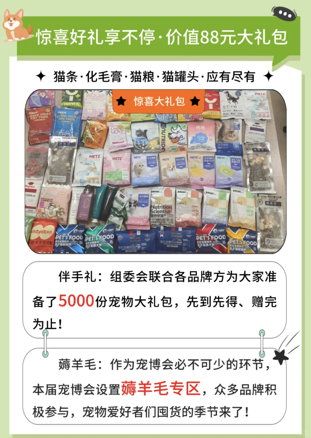 2025第二届长春宠物展来啦！！