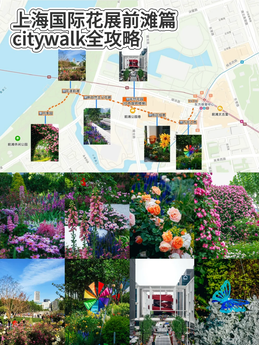 五一走花路?丨上海花展前滩citywalk