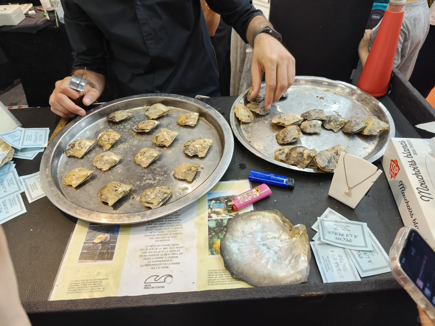 ??foire de paris 巴黎博览会