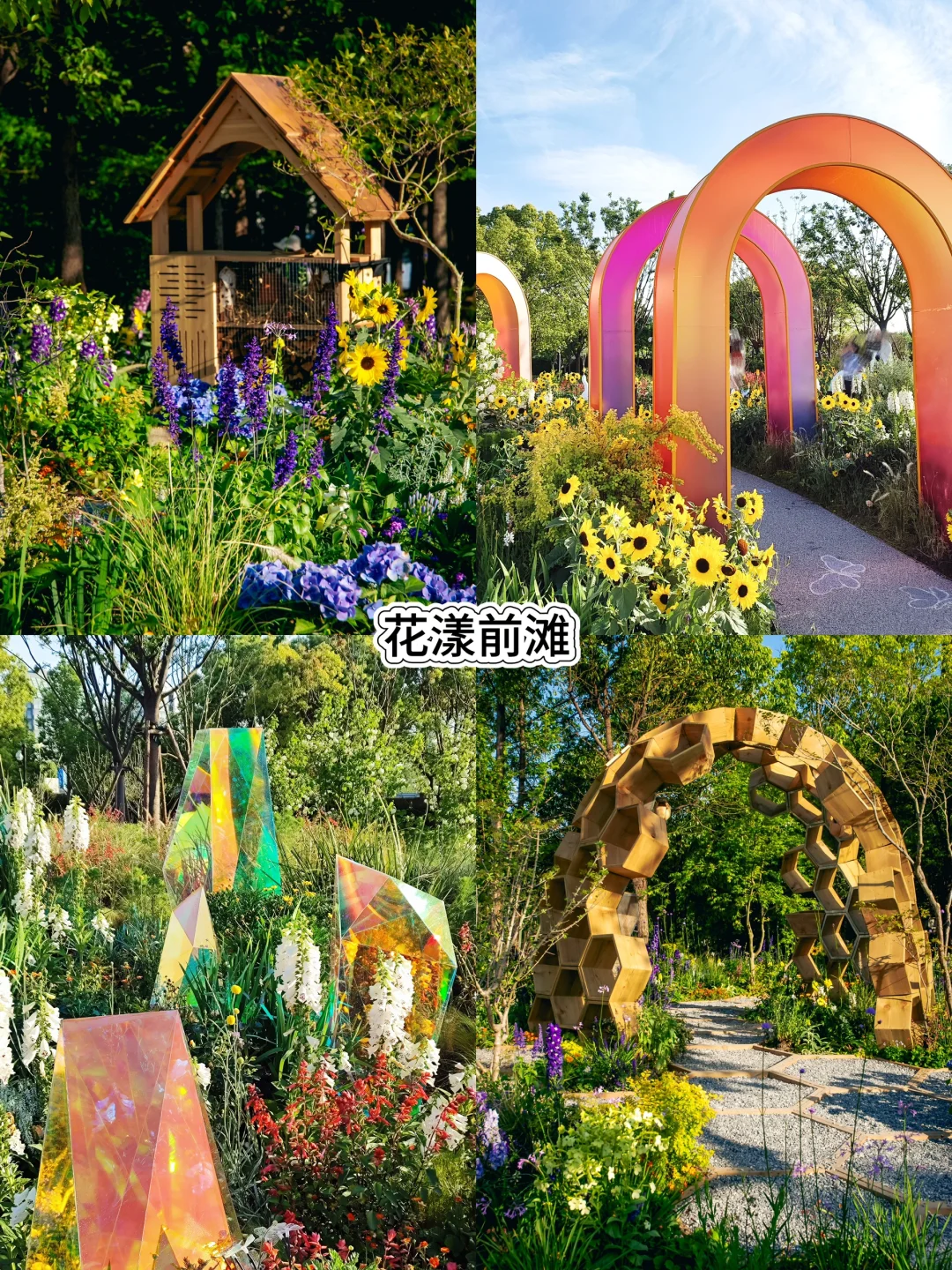 五一走花路?丨上海花展前滩citywalk