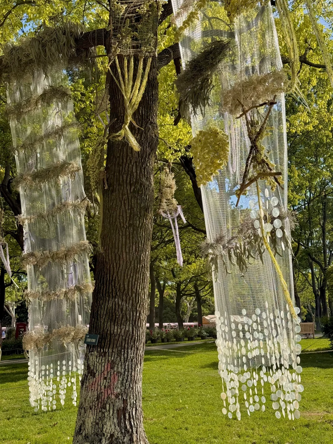 五一上海zui 值得一逛的花展，美到窒息！！?