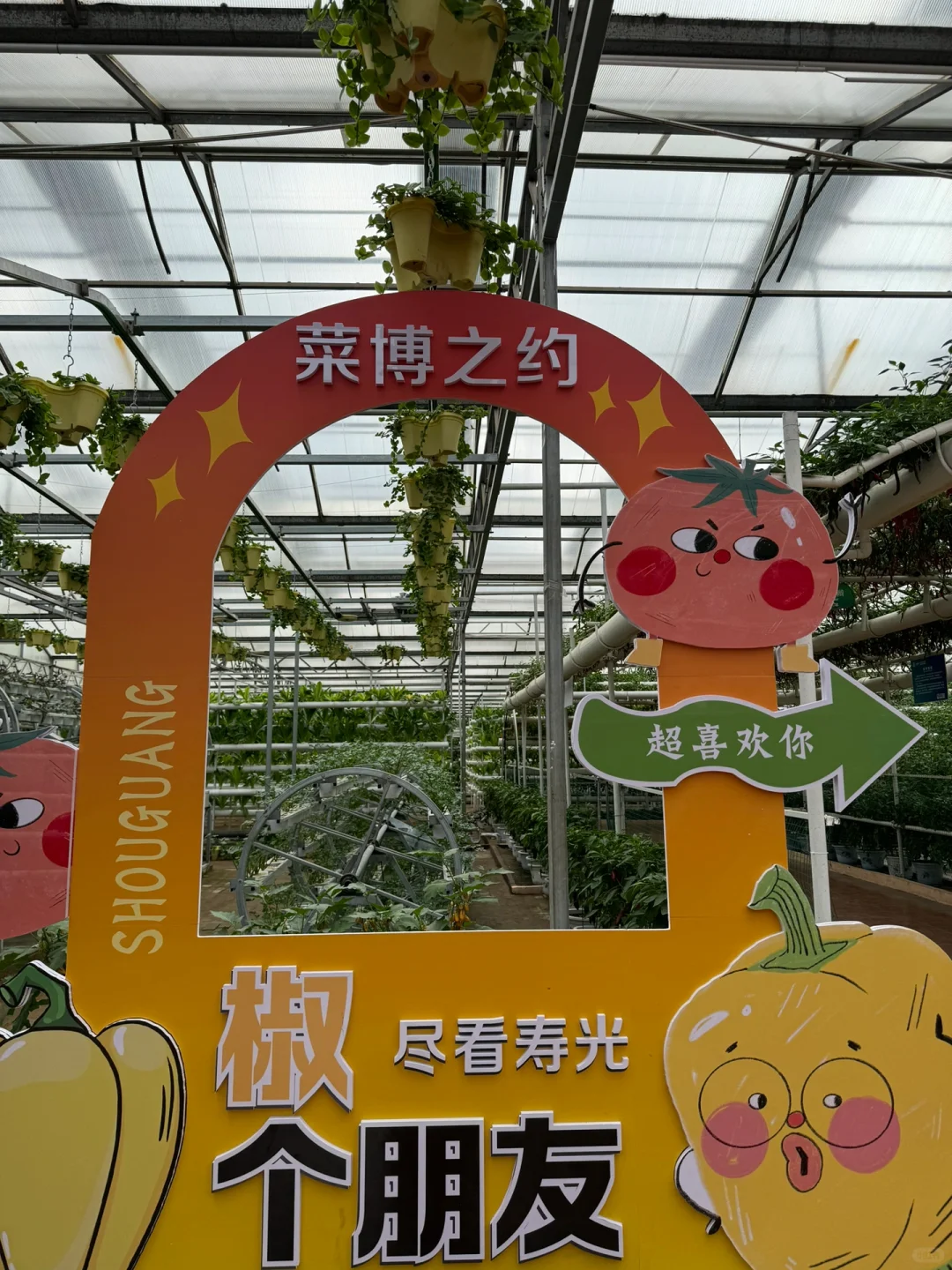 第25届寿光蔬菜博览会导览图