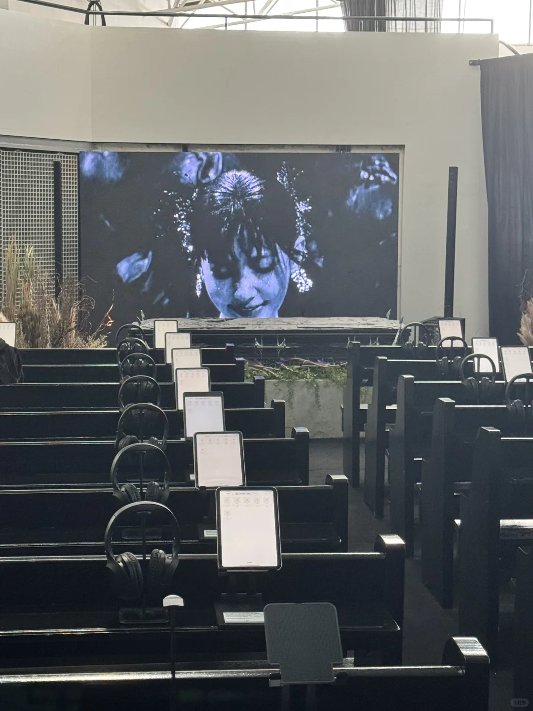 今天我们相聚在这里