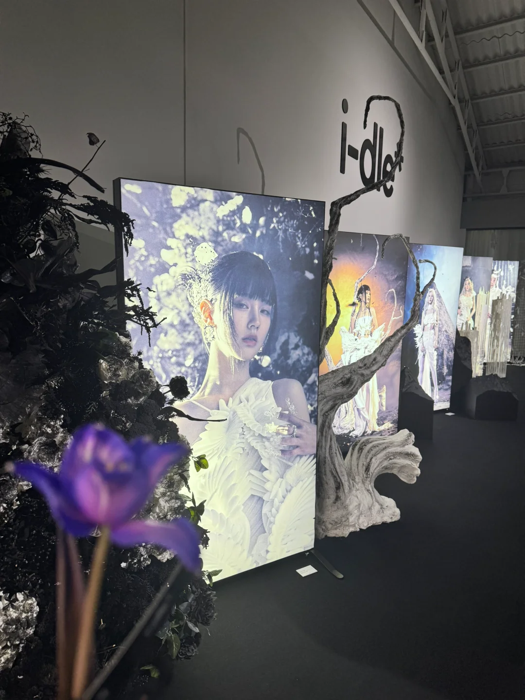 今天我们相聚在这里