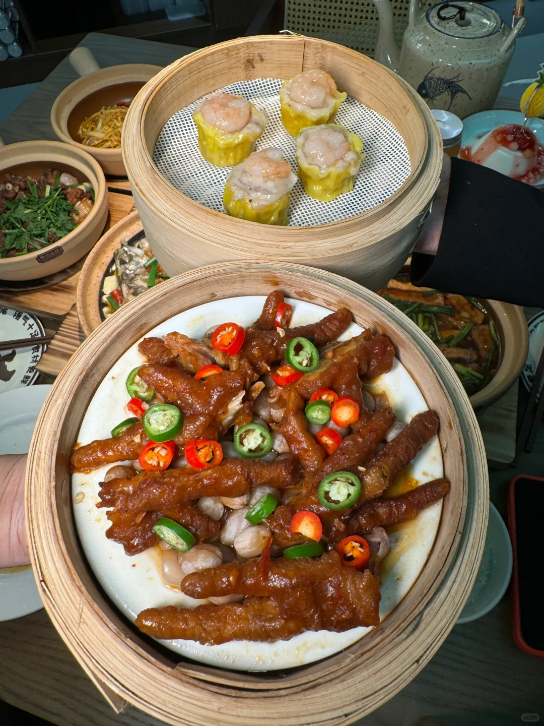 终于，会展片区也开了❗❗