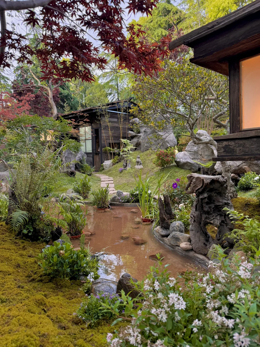 五一上海zui 值得一逛的花展，美到窒息！！?