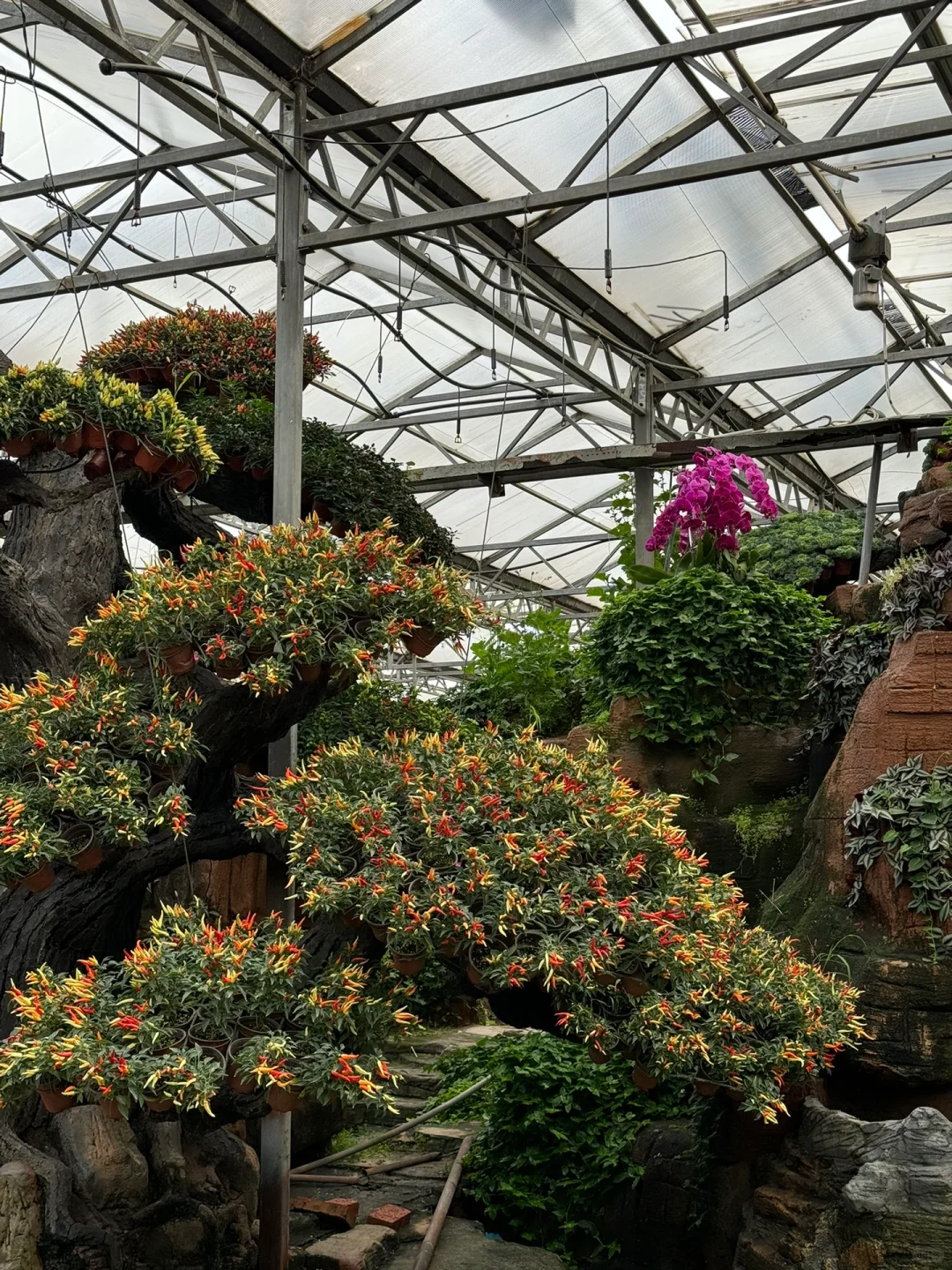 第25届寿光蔬菜博览会导览图