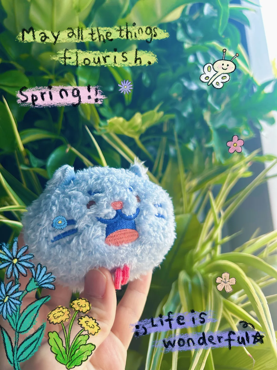 带着喵扎特去春季博览会啦～