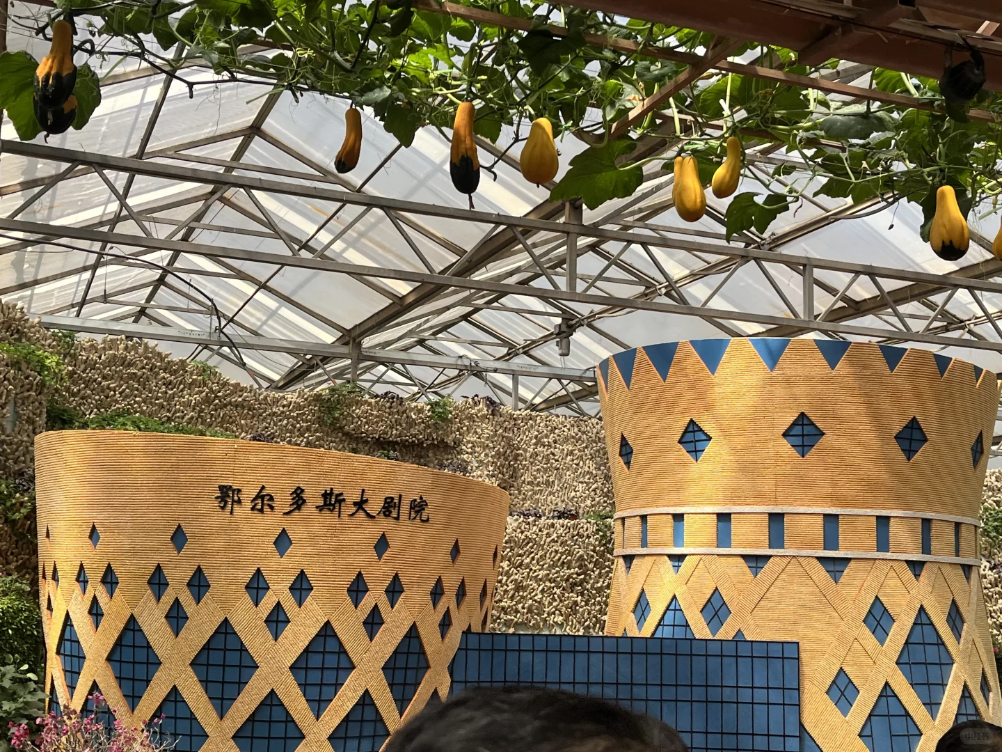 寿光蔬菜博览会值得去吗