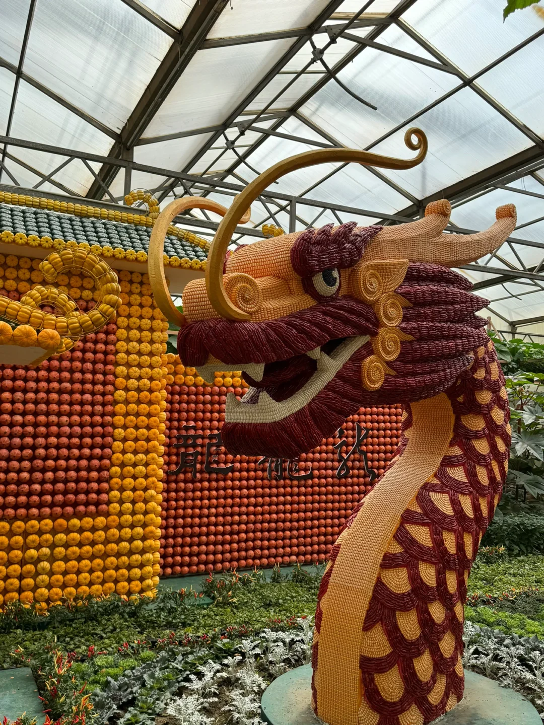 第25届寿光蔬菜博览会导览图