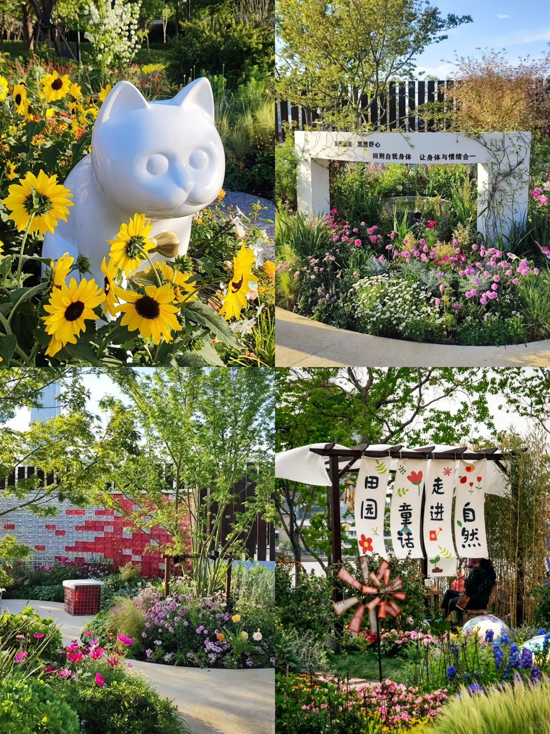 五一走花路?丨上海花展前滩citywalk