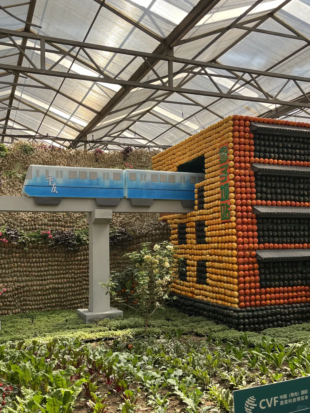 寿光蔬菜博览会值得去吗