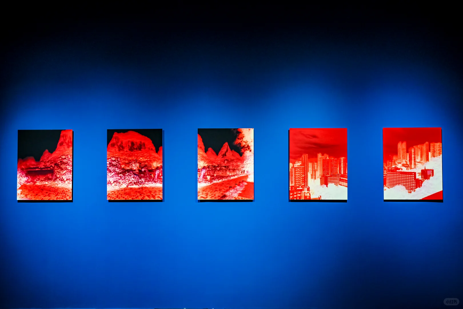 五一厦门必逛展览！免费！免预约！