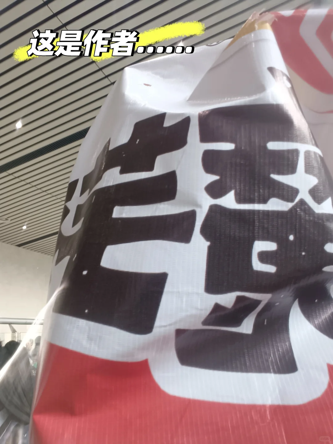 去会展中心漫展了！