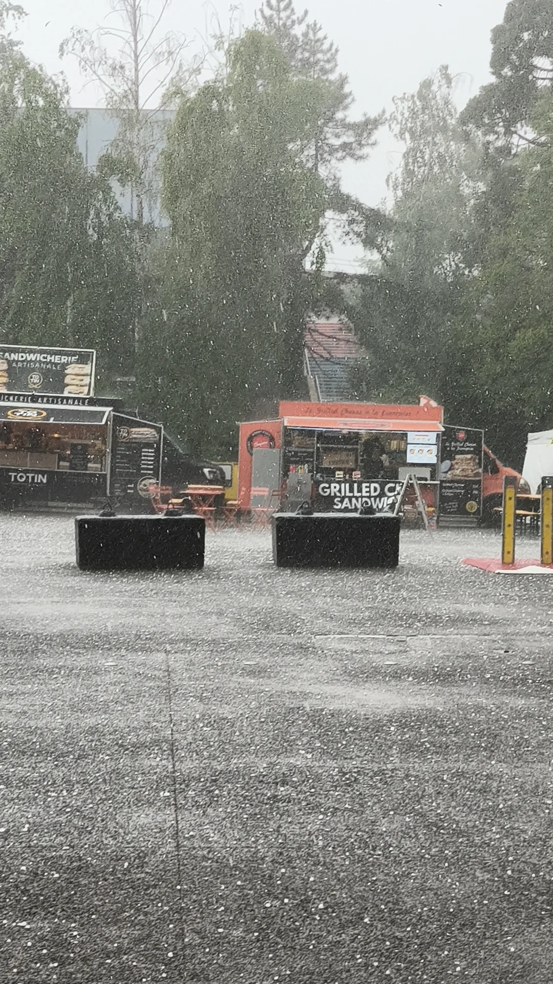 ??foire de paris 巴黎博览会