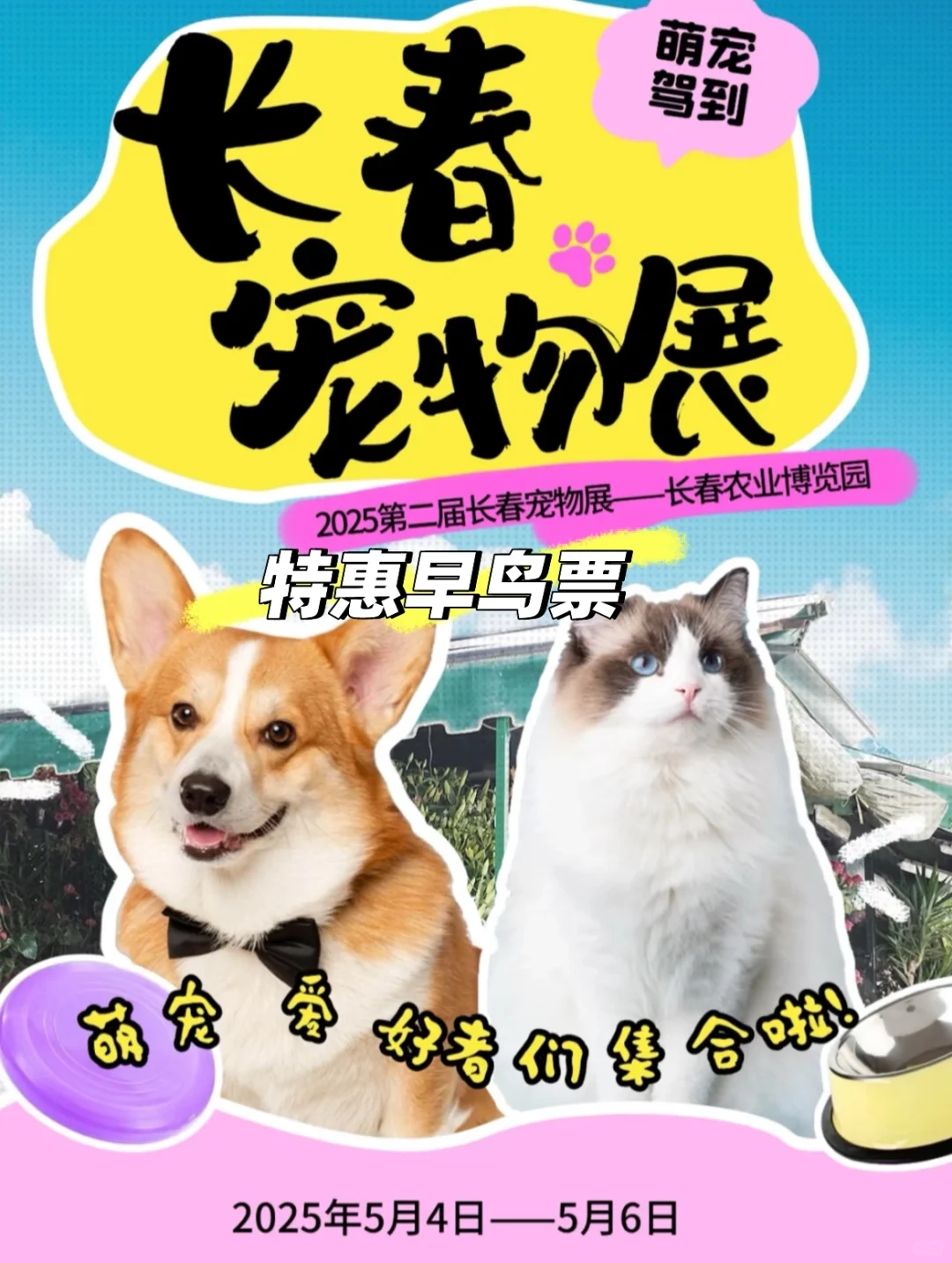2025第二届长春宠物展来啦！！