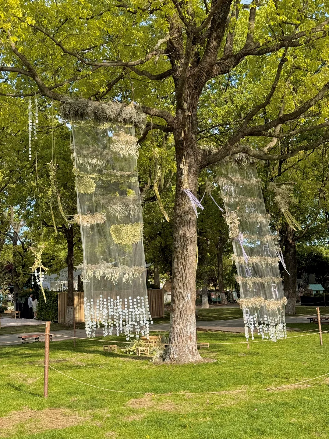 五一上海zui 值得一逛的花展，美到窒息！！?