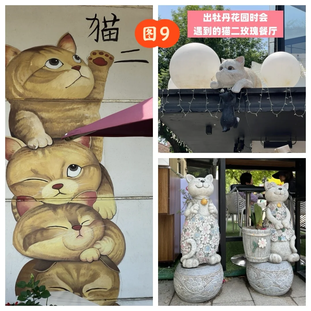 五一上海国际花展避雷攻略，独家福利