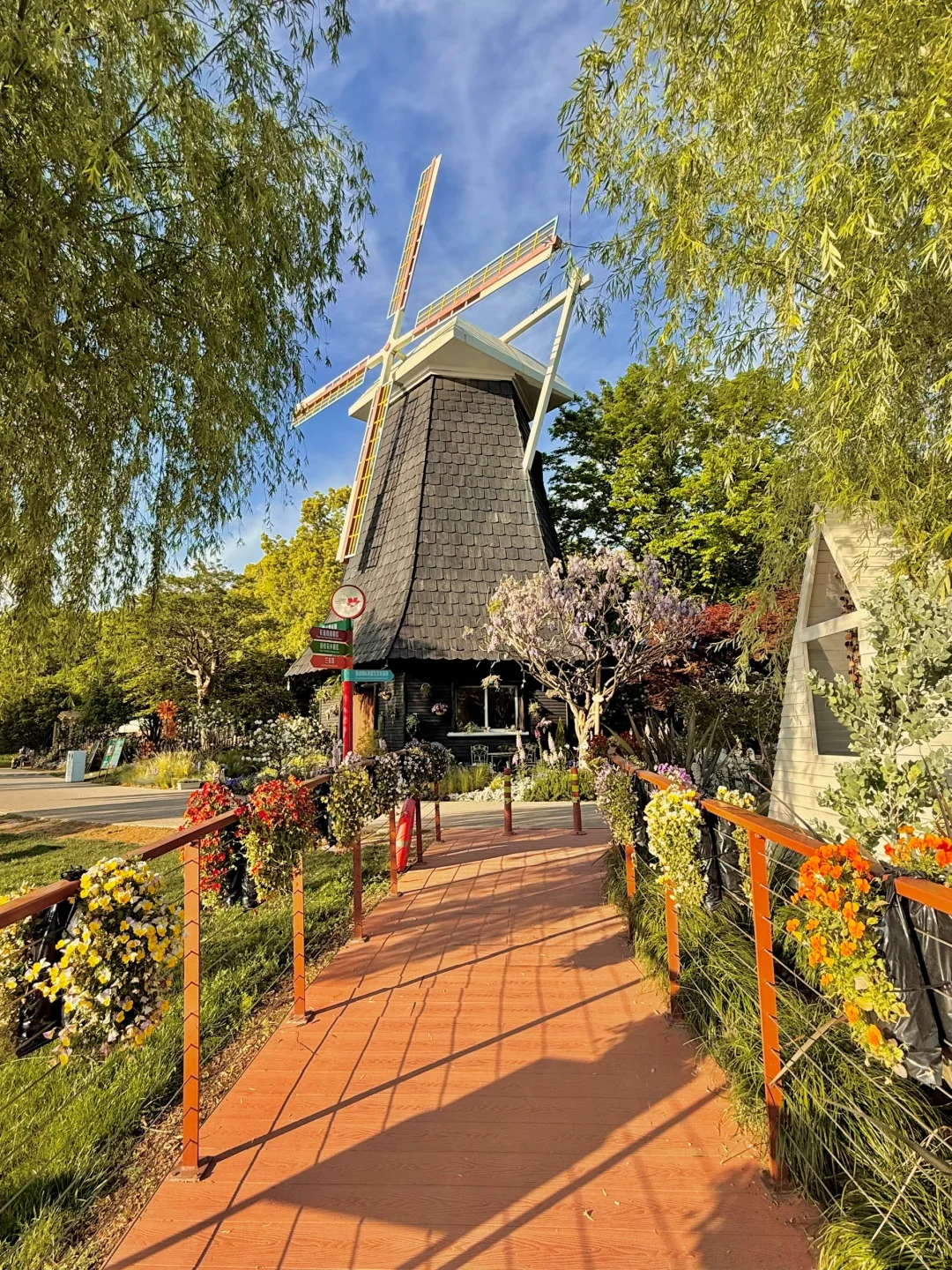 五一上海zui 值得一逛的花展，美到窒息！！?