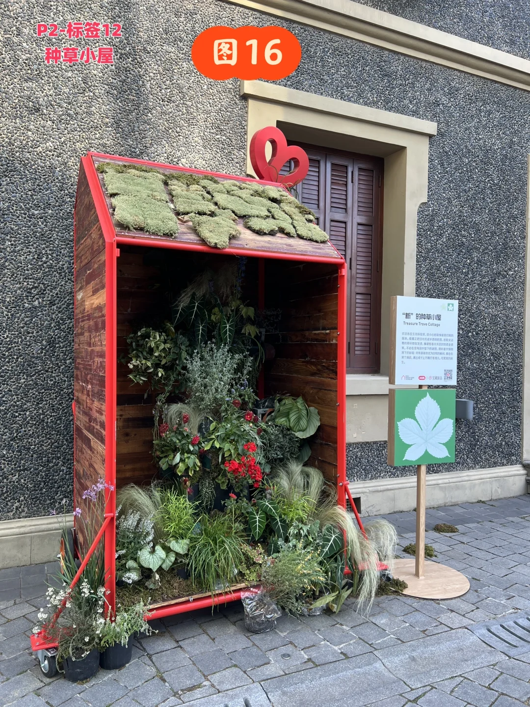 五一上海国际花展避雷攻略，独家福利