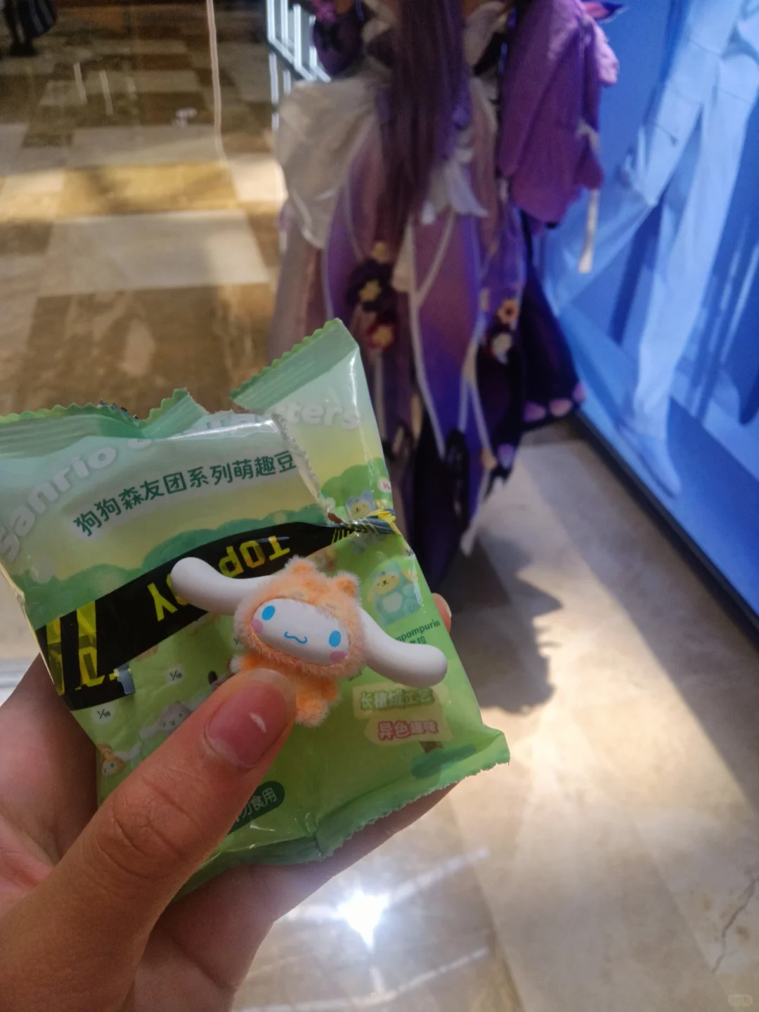 去会展中心漫展了！