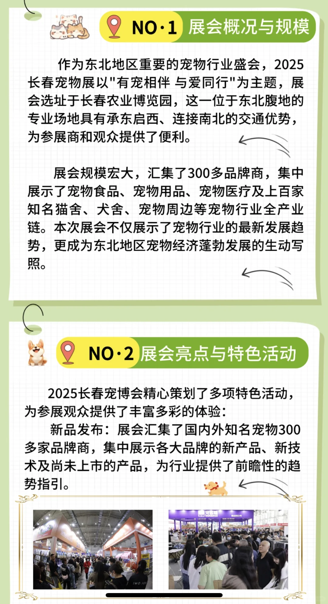 2025第二届长春宠物展来啦！！