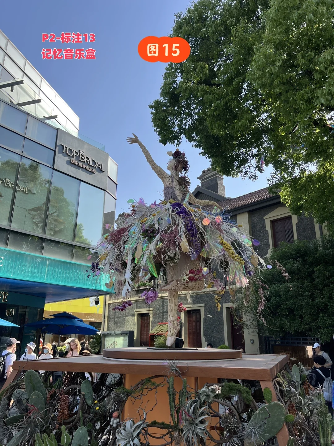 五一上海国际花展避雷攻略，独家福利