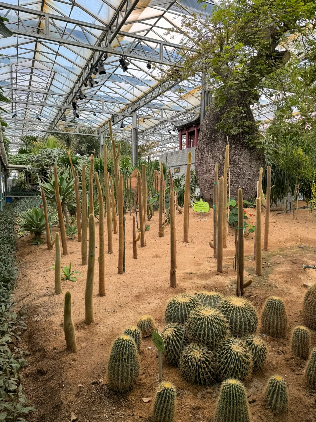 第25届寿光蔬菜博览会导览图