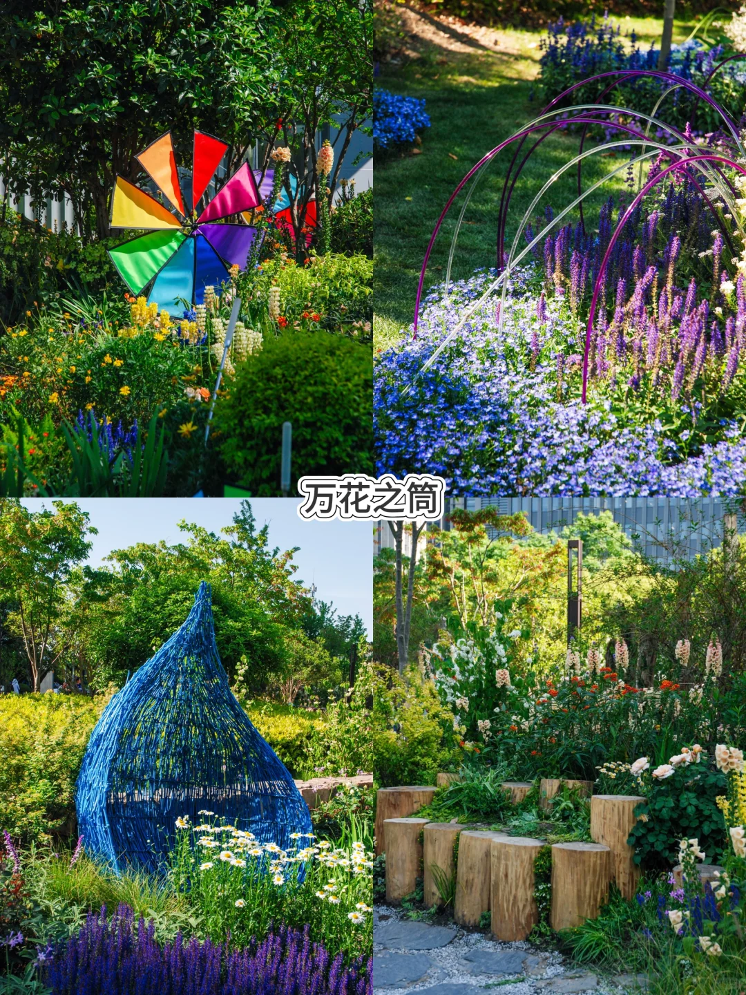 五一走花路?丨上海花展前滩citywalk