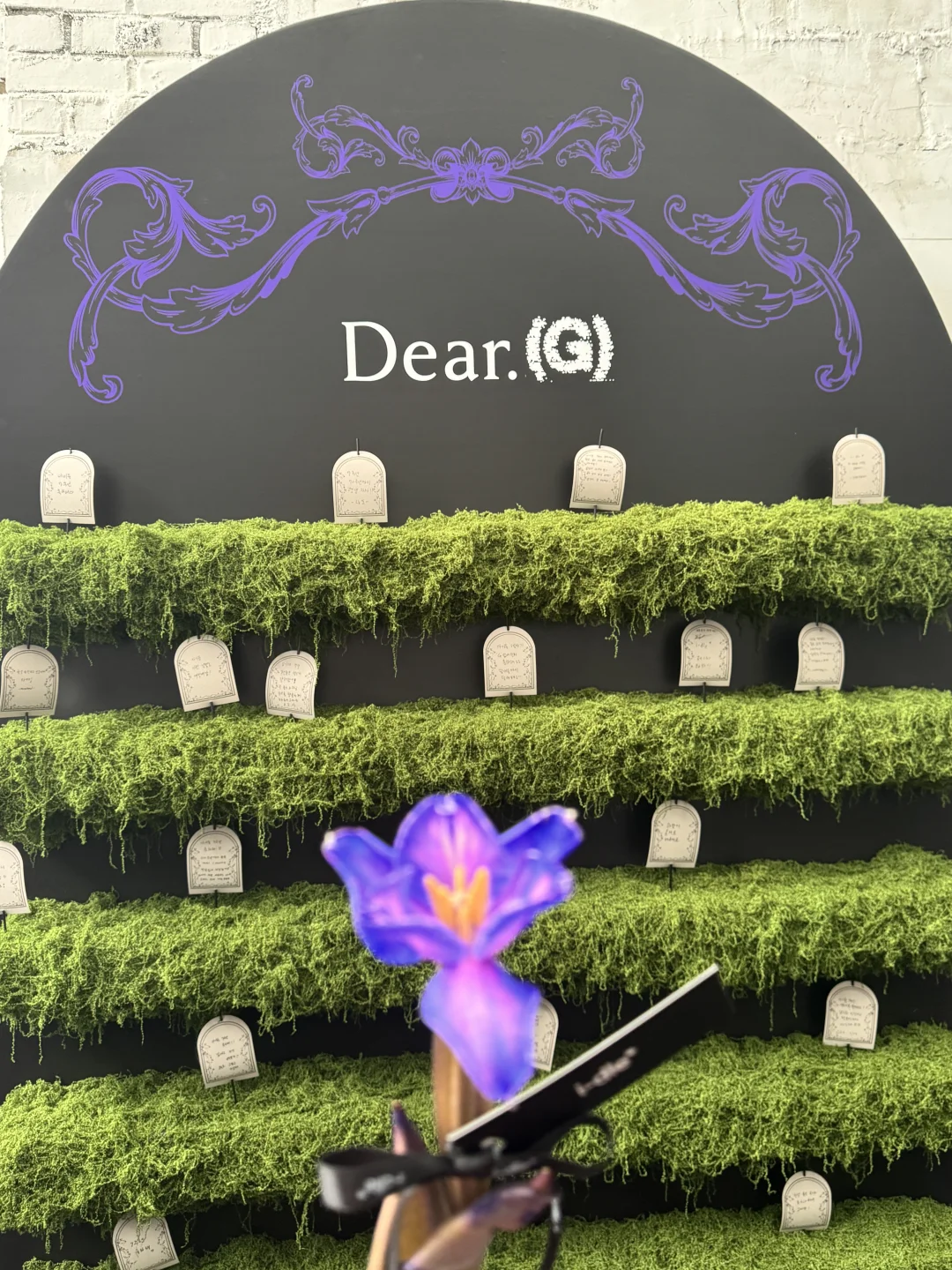 今天我们相聚在这里