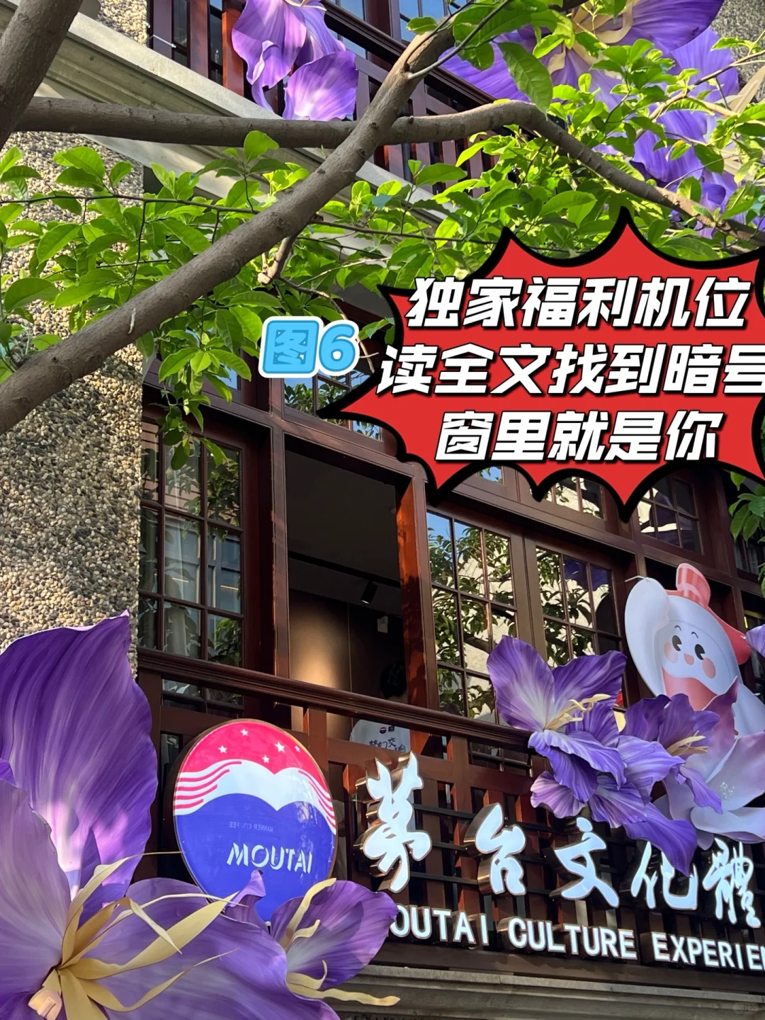 五一上海国际花展避雷攻略，独家福利