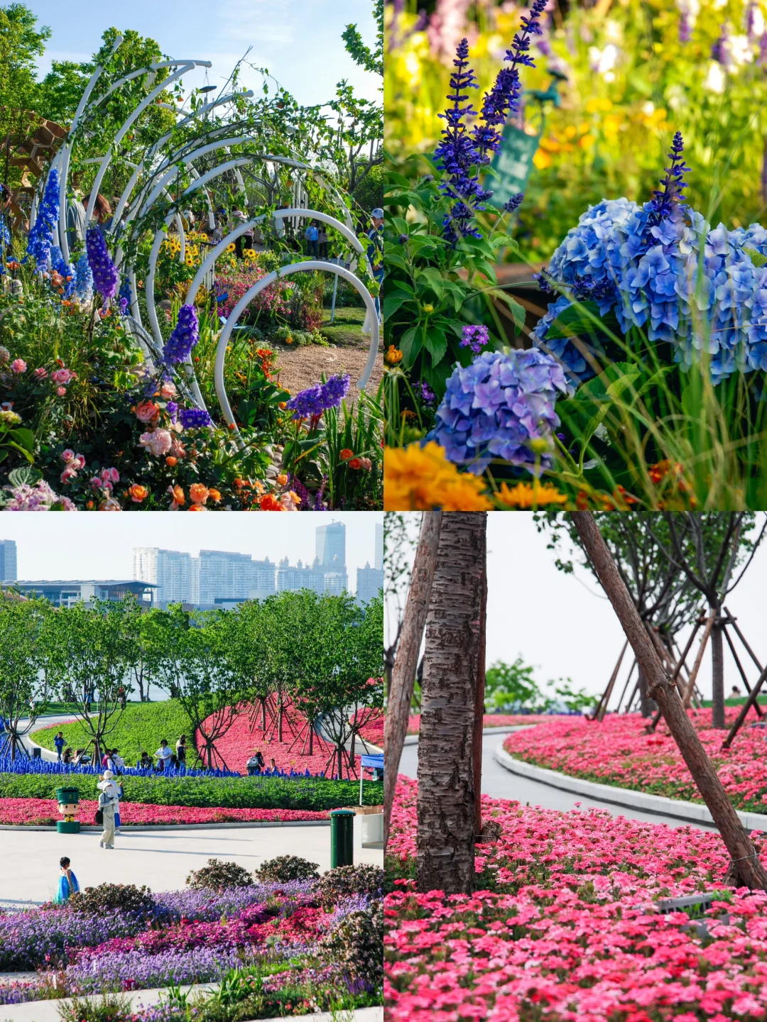 五一走花路?丨上海花展前滩citywalk