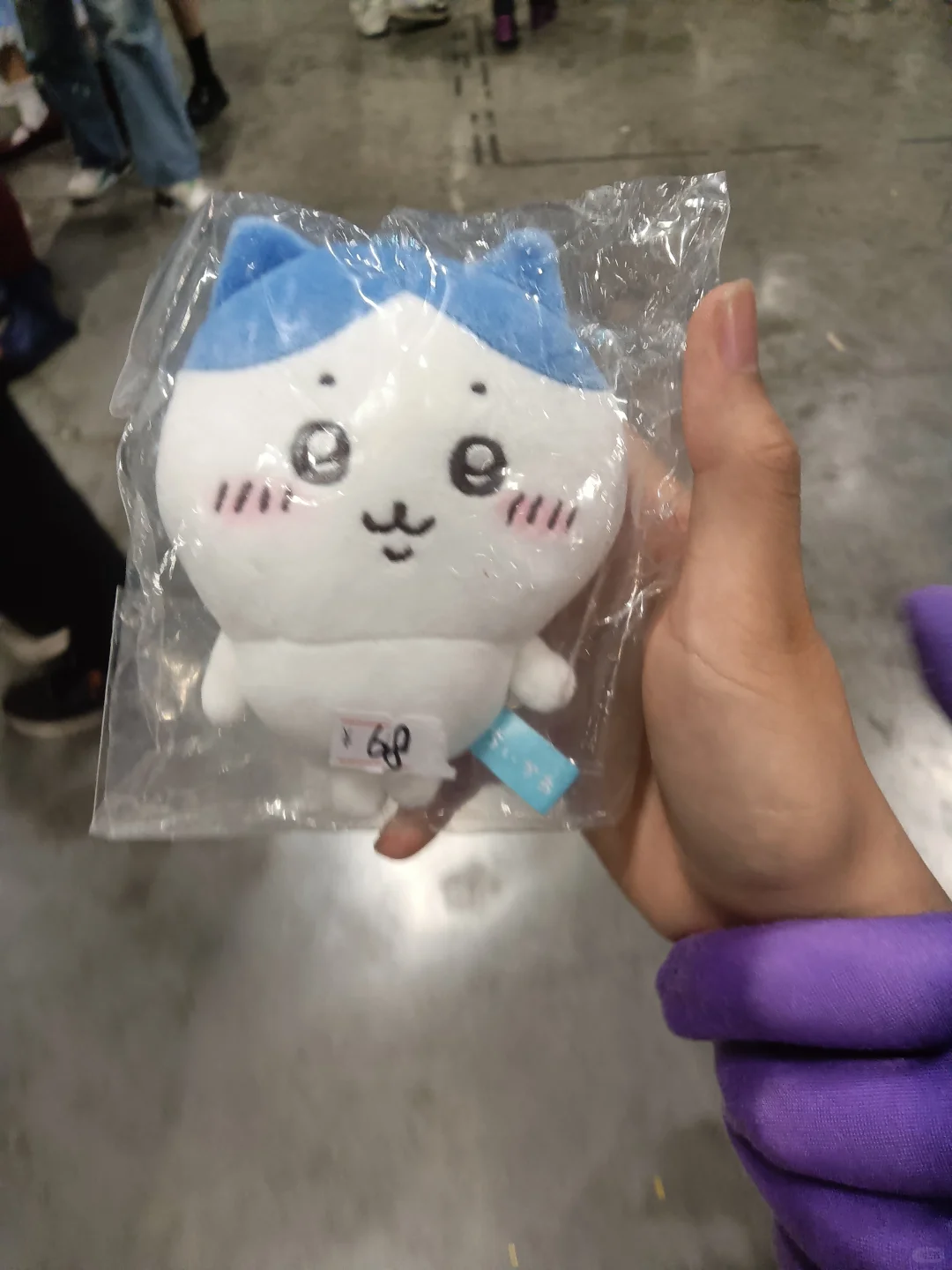 去会展中心漫展了！