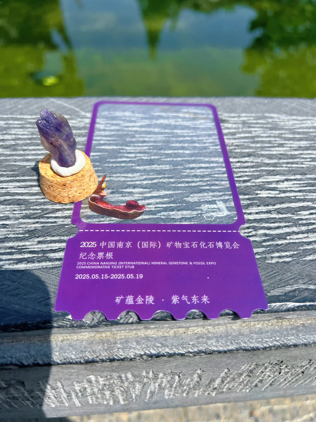 南京遛娃~南京矿博会展览太好逛啦