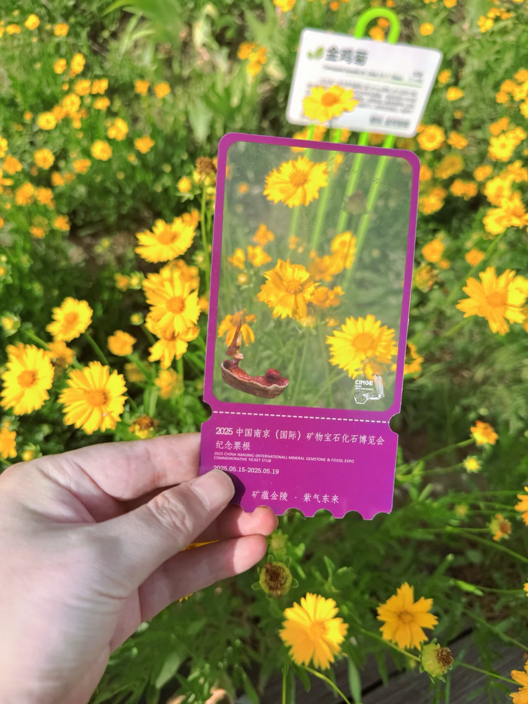 ?‍♂️南京眼Citywalk全攻略，本地土著亲测