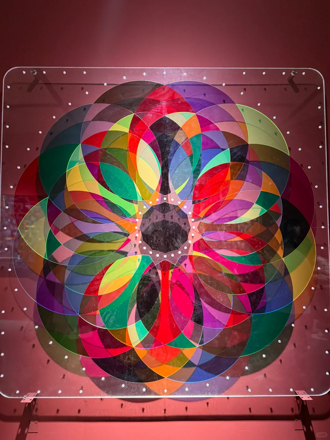 央美毕业展人好多