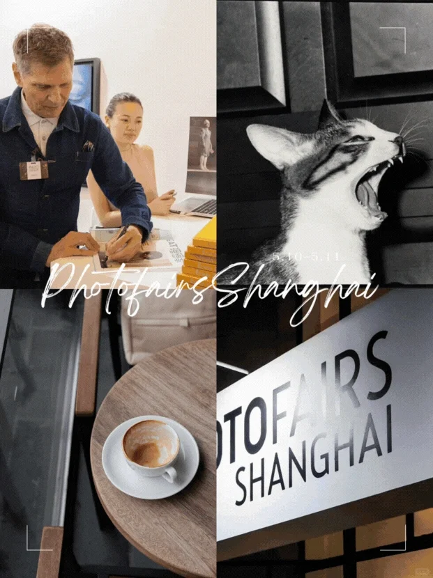 ?赠票 | 和我一起去看影像上海艺术博览会