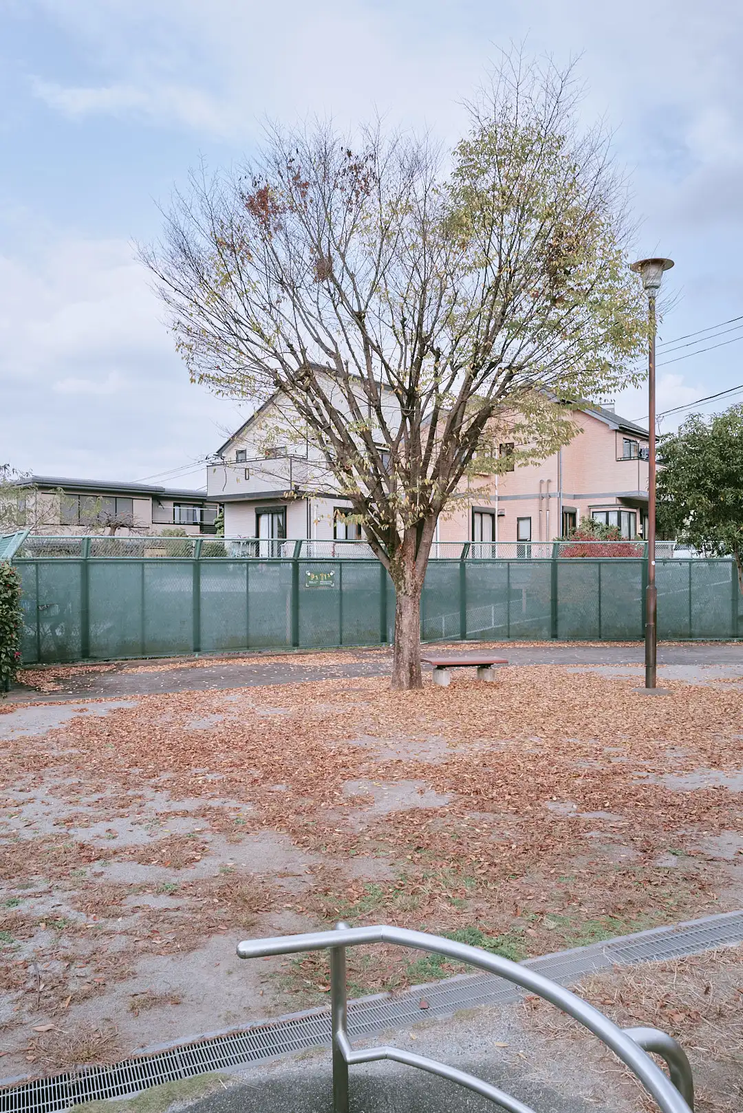 评论赠票！2025影像上海艺术博览会