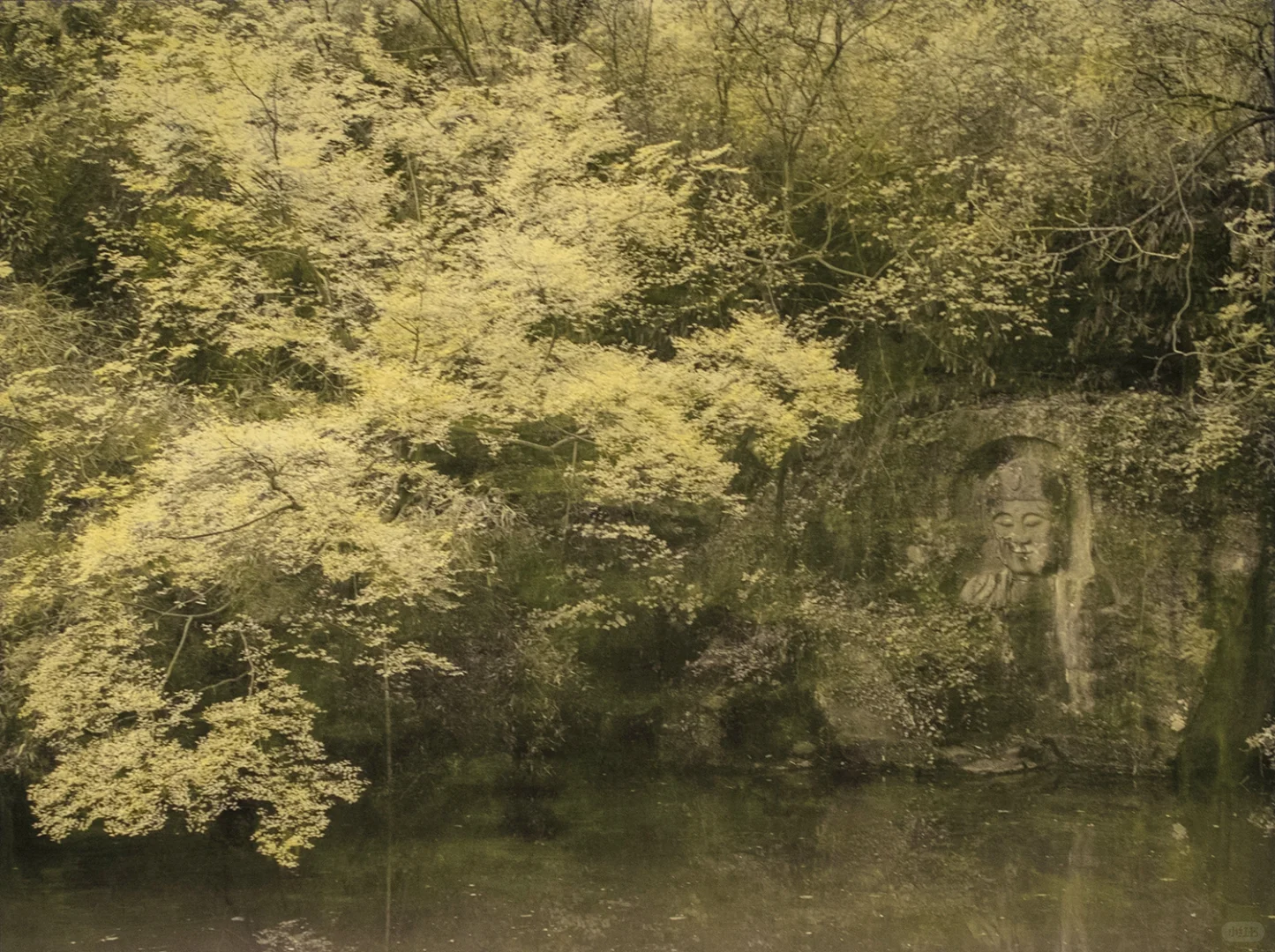 评论赠票！2025影像上海艺术博览会