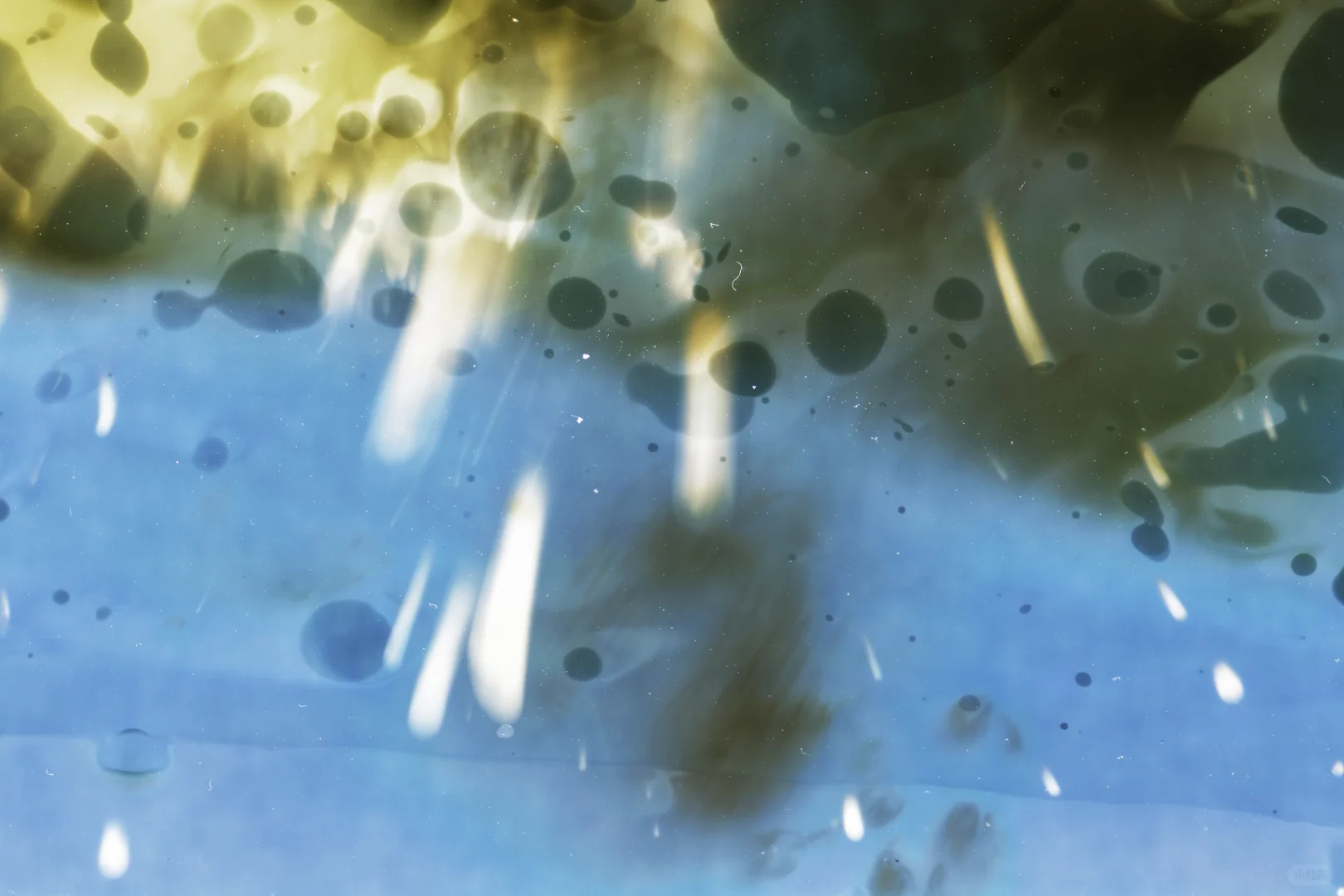 评论赠票！2025影像上海艺术博览会