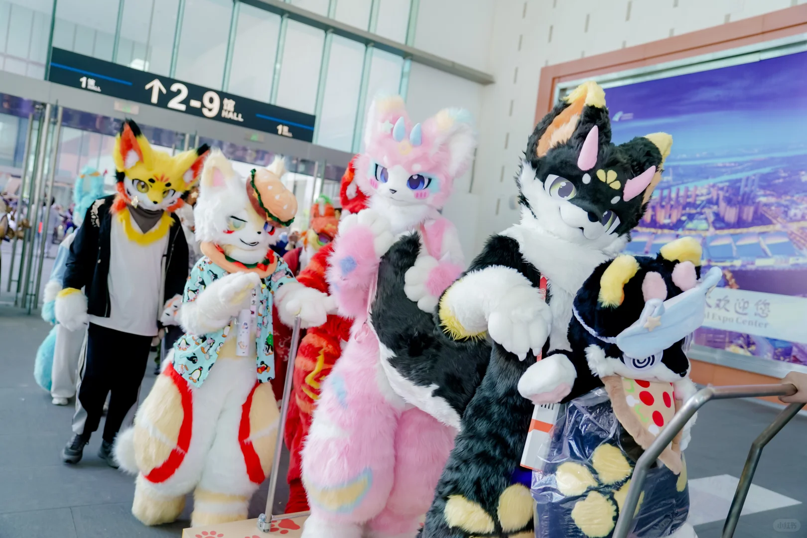 南京金陵青年文化博览会返图第九波来了