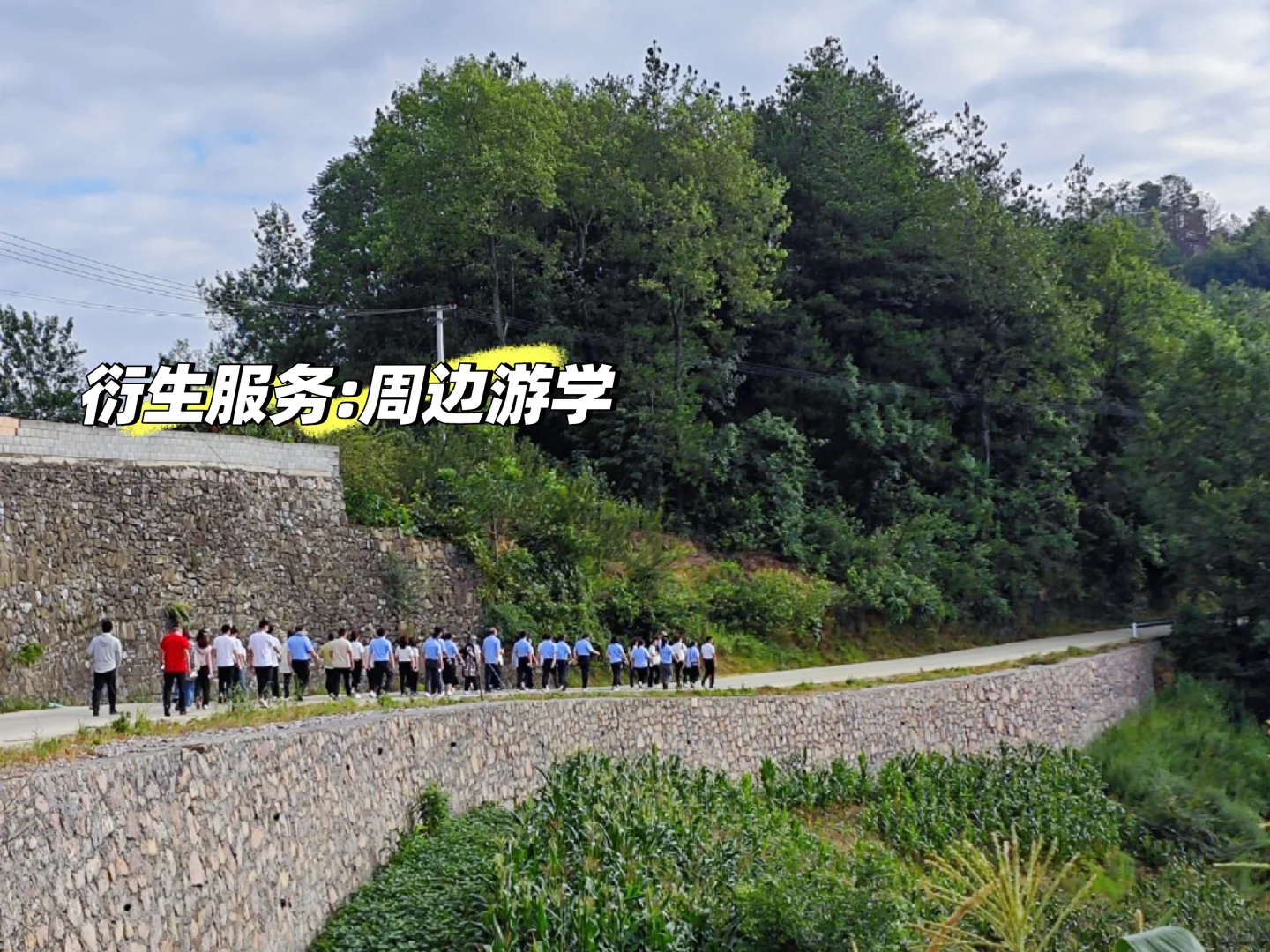 新手码住！快来看看会展服务到底是做什么！