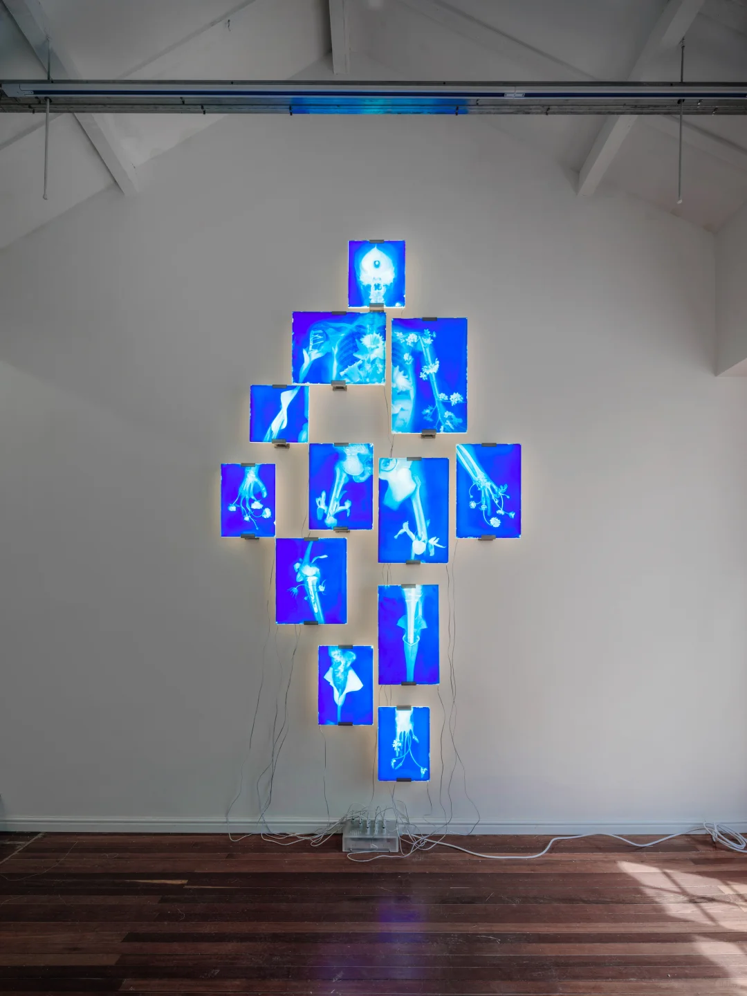 评论赠票｜2025影像上海艺术博览会，明天见