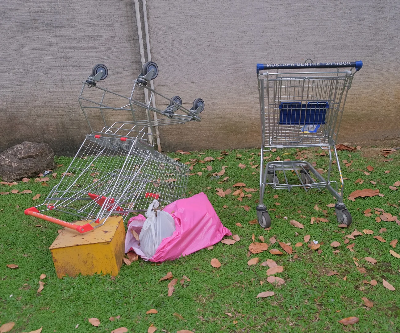 评论赠票！2025影像上海艺术博览会