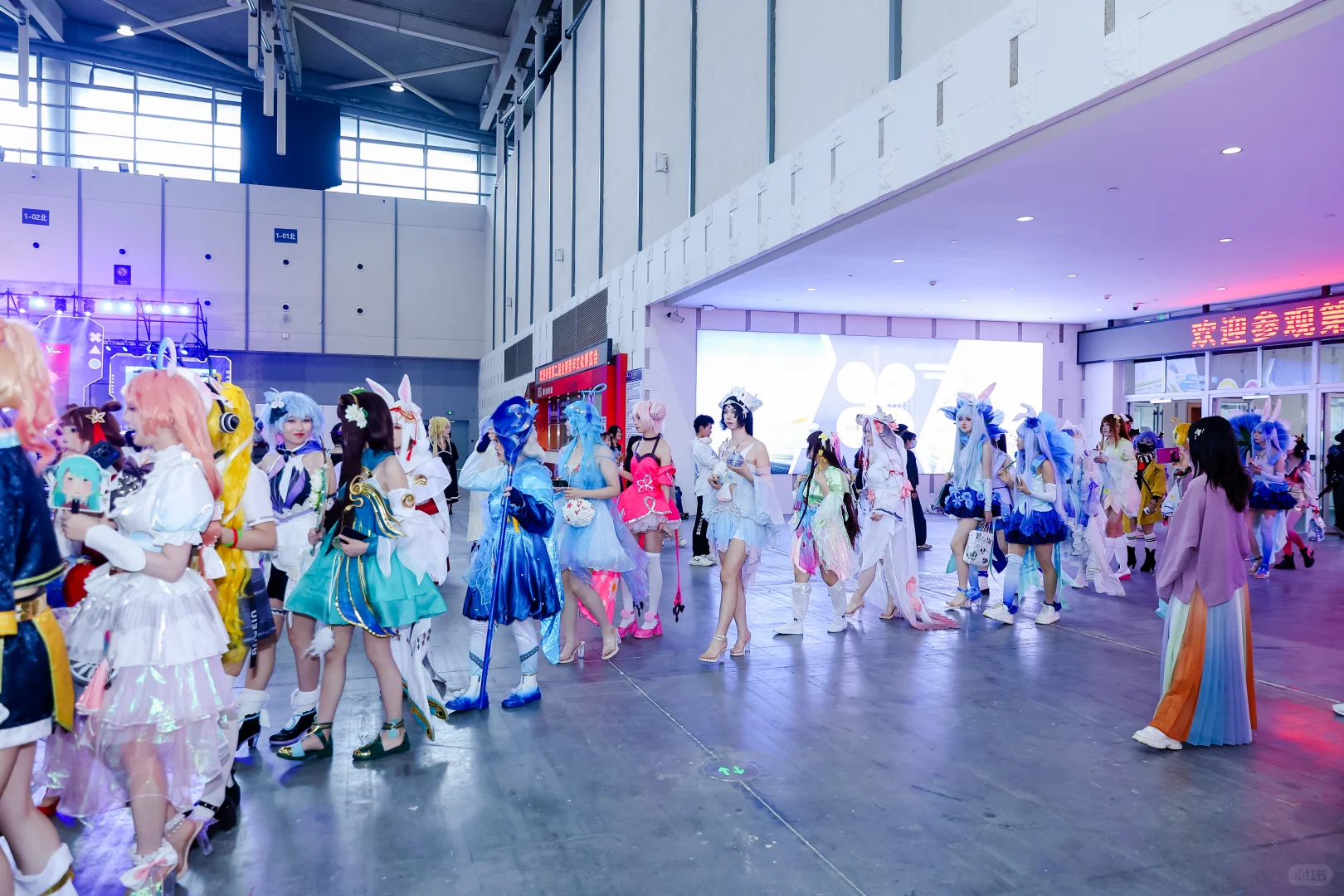 南京金陵青年文化博览会返图第九波来了